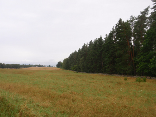 Flat field with Lake V&auml;ttern on the horizon.